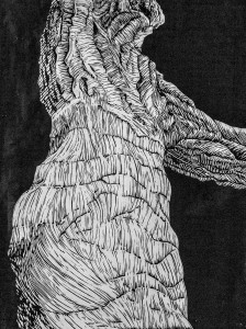 2013 - Chene liège - xylographie - 45x60cm